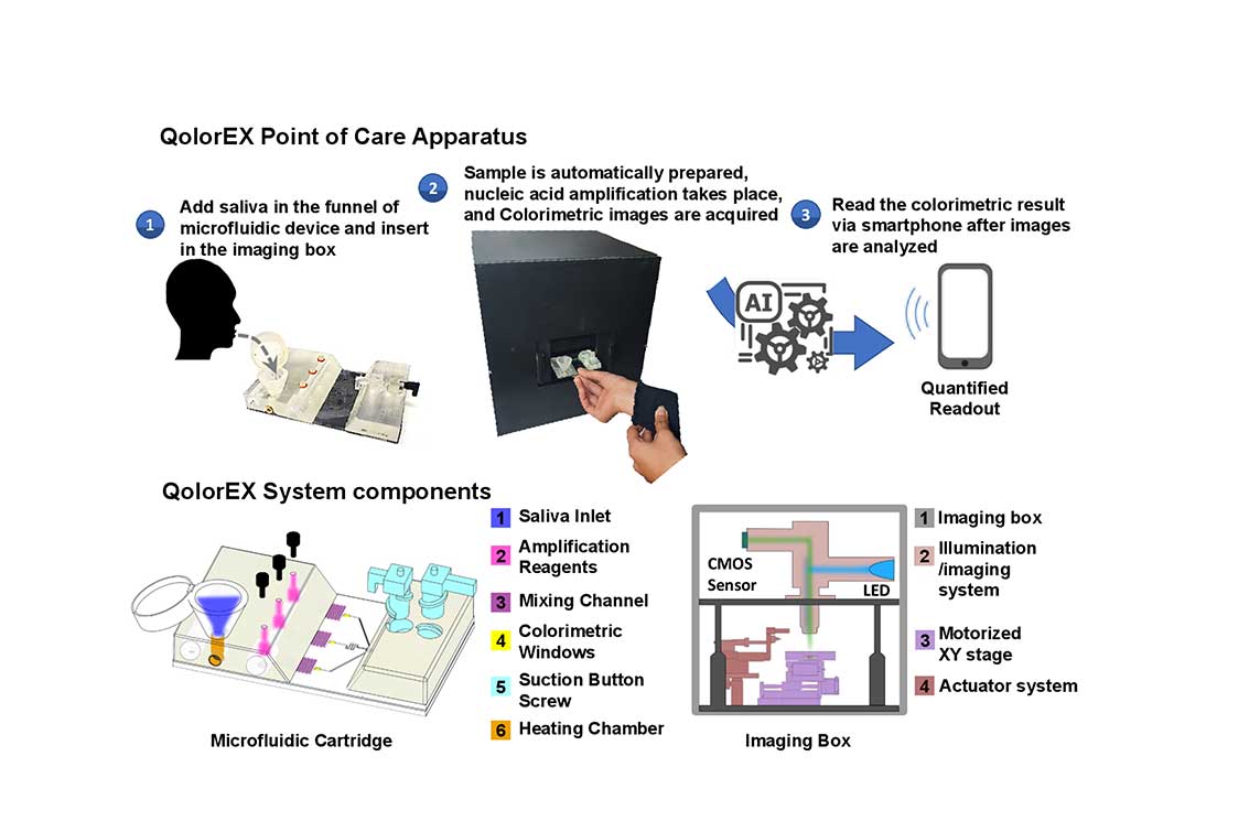 Automation And Miniaturization For Point-Of-Care Testing (POCT)